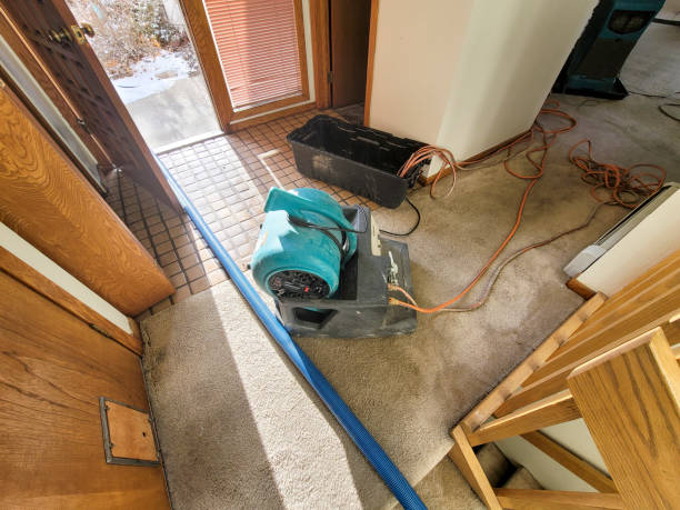 Best Water damage restoration near me  in North Fork, CA