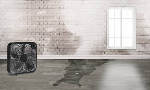 Best 24-hour water damage restoration  in North Fork, CA