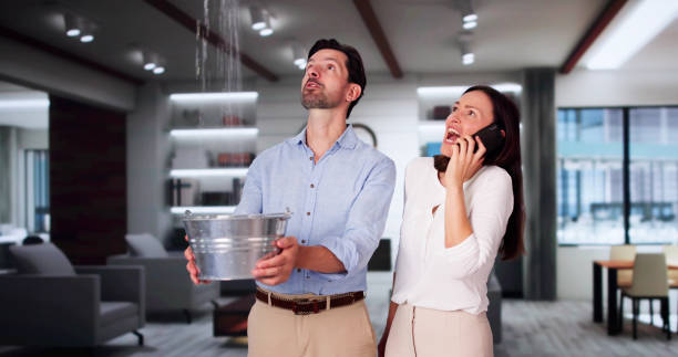 Best Basement water damage restoration  in North Fork, CA